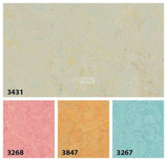 Forbo Marmoleum Decibel on Order 343135 limoncello фото 3 | FLOORDEALER